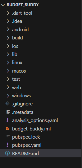 Flutter Project Folder Structure